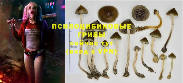 героин Богородицк