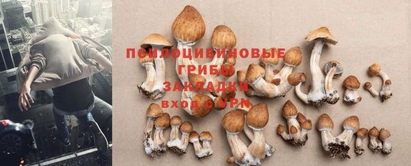 дурь Богородск